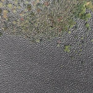 edirnede golet kurudu kwE9niaq