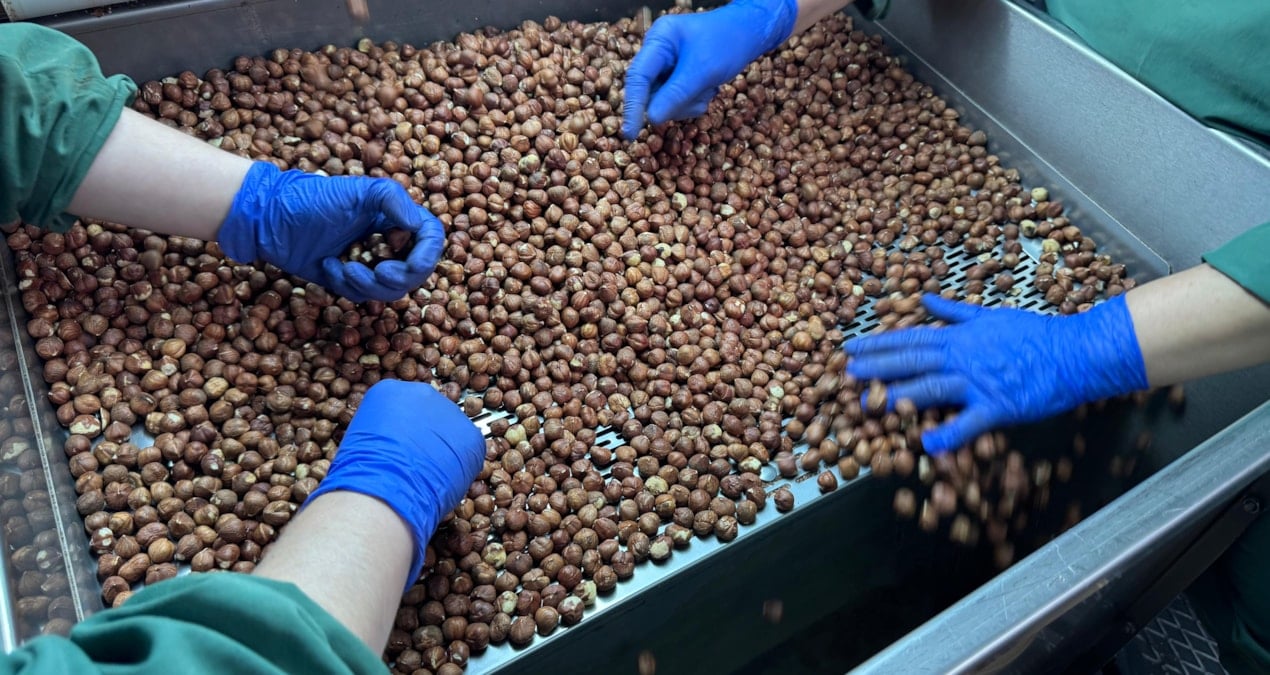 124 ulke findik icin turkiyeye para yagdirdi RcfFnpfN