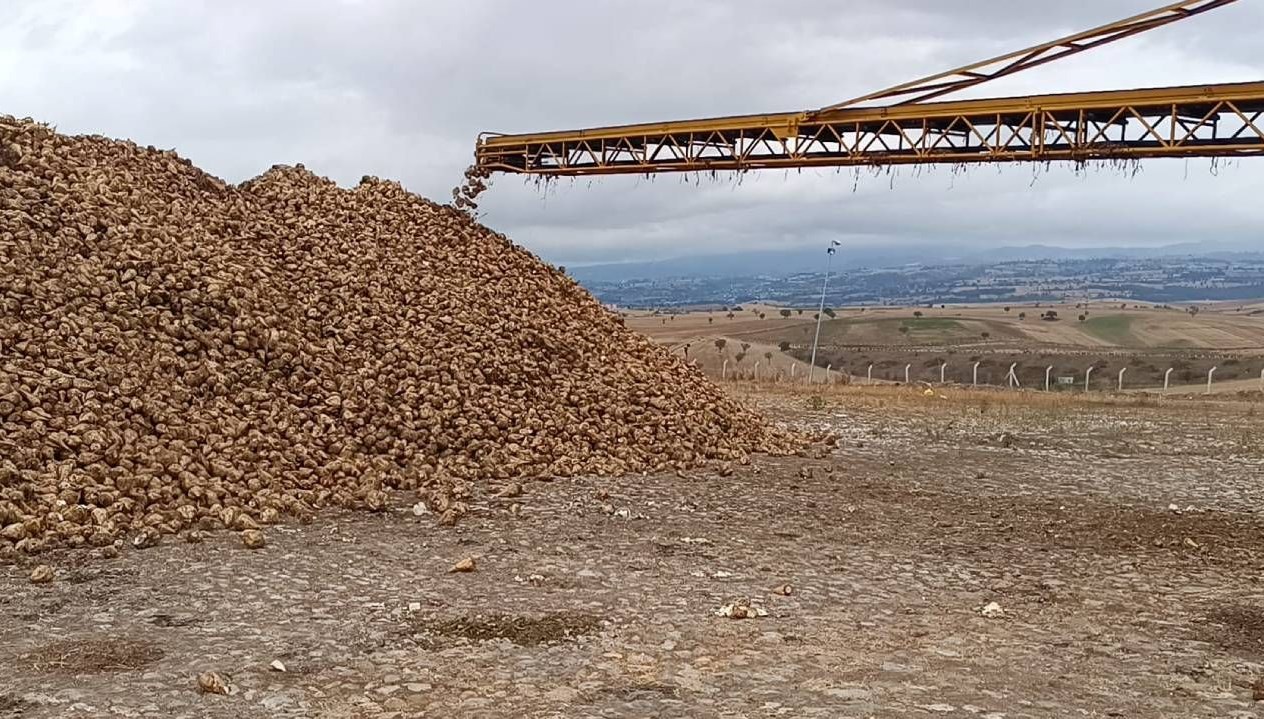 samsunda seker pancari hasadi basladi D7gnlEq6