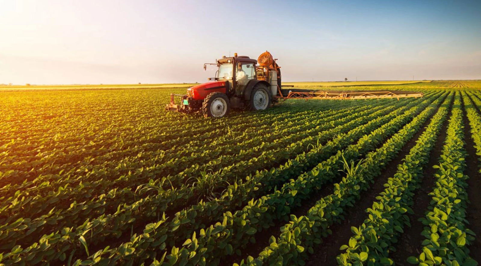 tarim sektorunde kotu haber 47sn4tcT