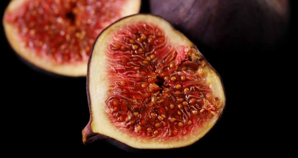 yedigimiz incirlerin icinde gercekten esek arisi var mi bilim merak edilen soruyu yanitladi cEUkZV4Z