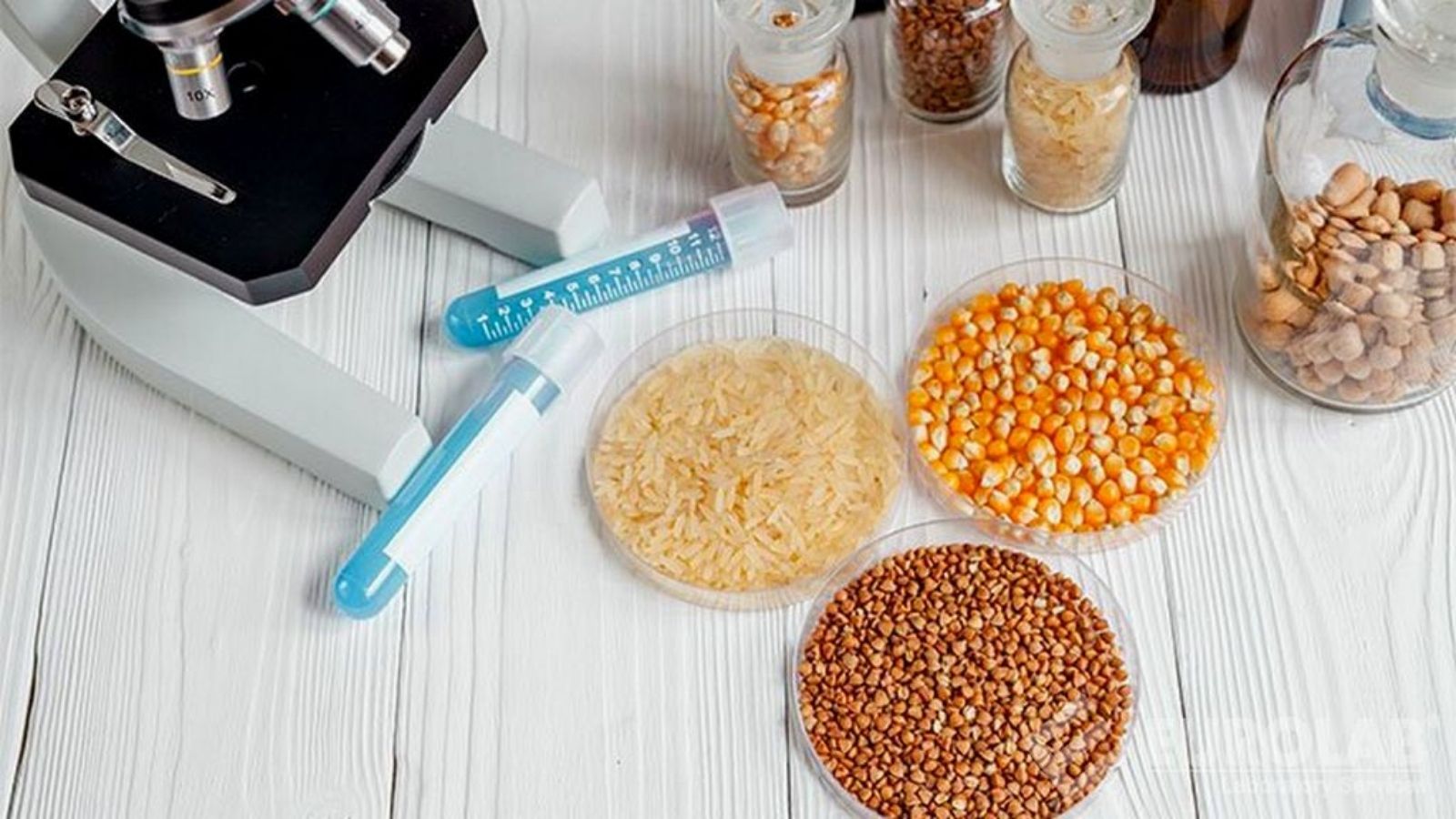 tmr ve kaba yemlerde yem analizi makinesi avantajlari BA6SnLWv