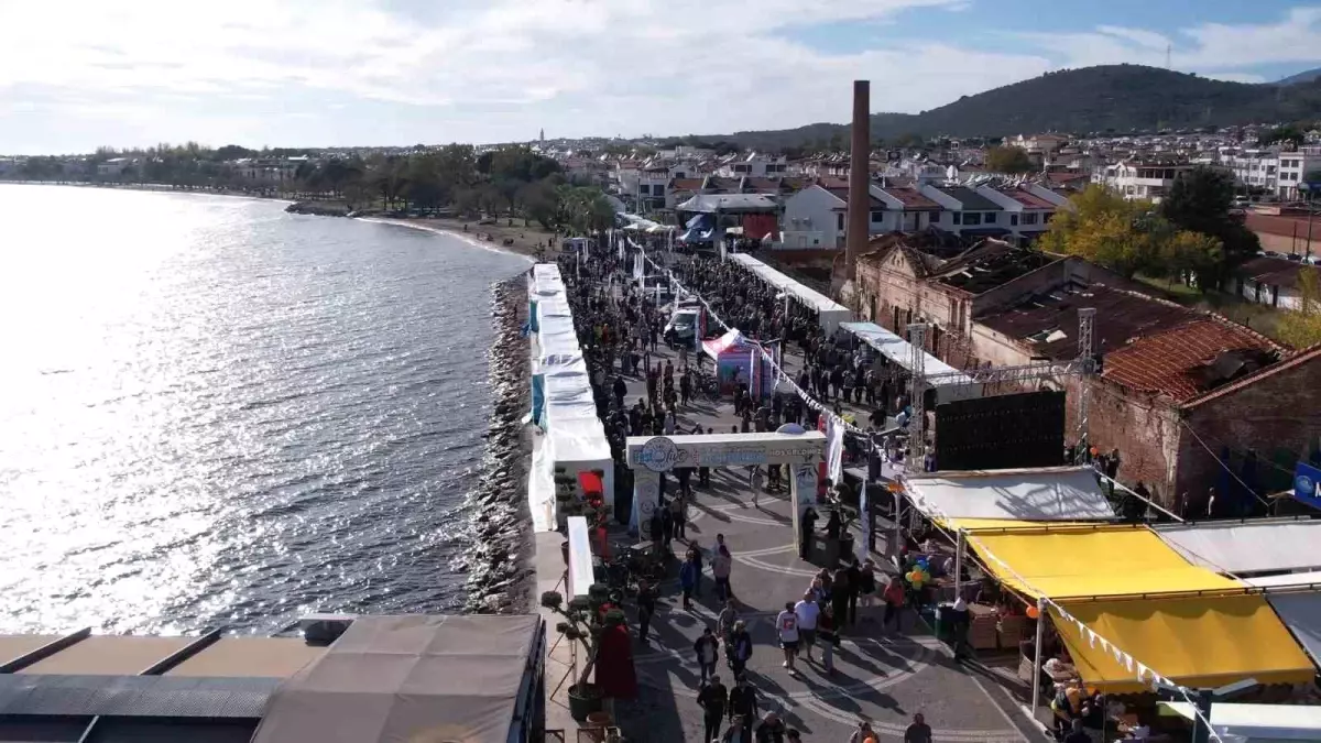 edremit zeytinyagi tadim festivali coskuyla tamamlandi MPLcmEFS.jpg