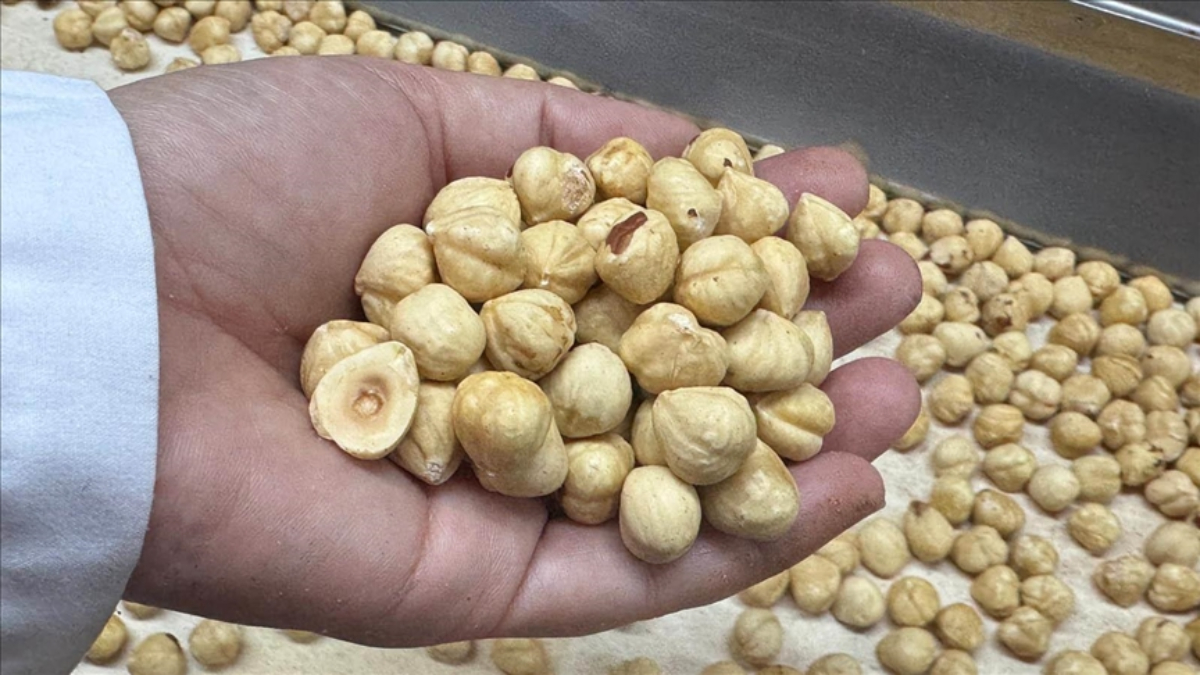 findik ihracati geliri aciklandi dPIs4NNt.jpg