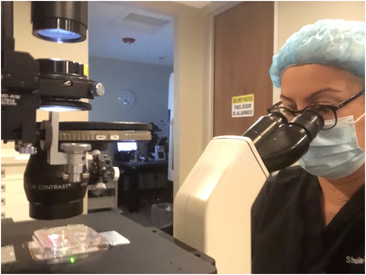 Türk Kadınının ABD'deki Tüp Bebek Sektöründeki Başarısı