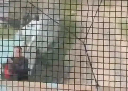 Trende Facianın Eşiğinden Dönüş: Kahraman Polisin Zamanla Yarışı