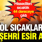 Col sicaklari bir sehri esir aldi hissedilen sicaklik 44 dereceye cikti 3YEXDmmn